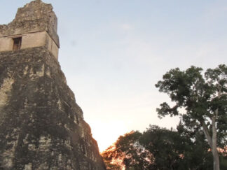 Tikal Splendid Mayan Ruins